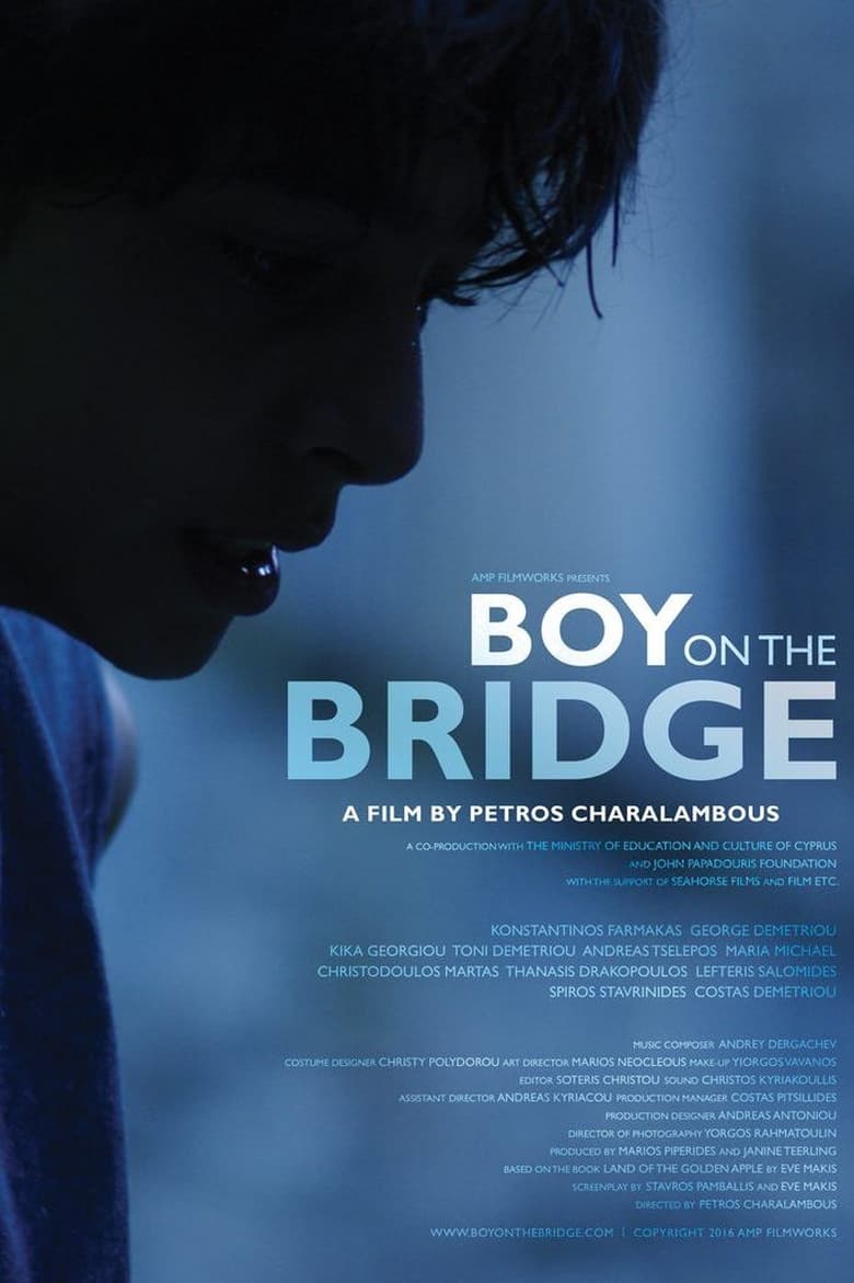 Poster of Boy on the Bridge