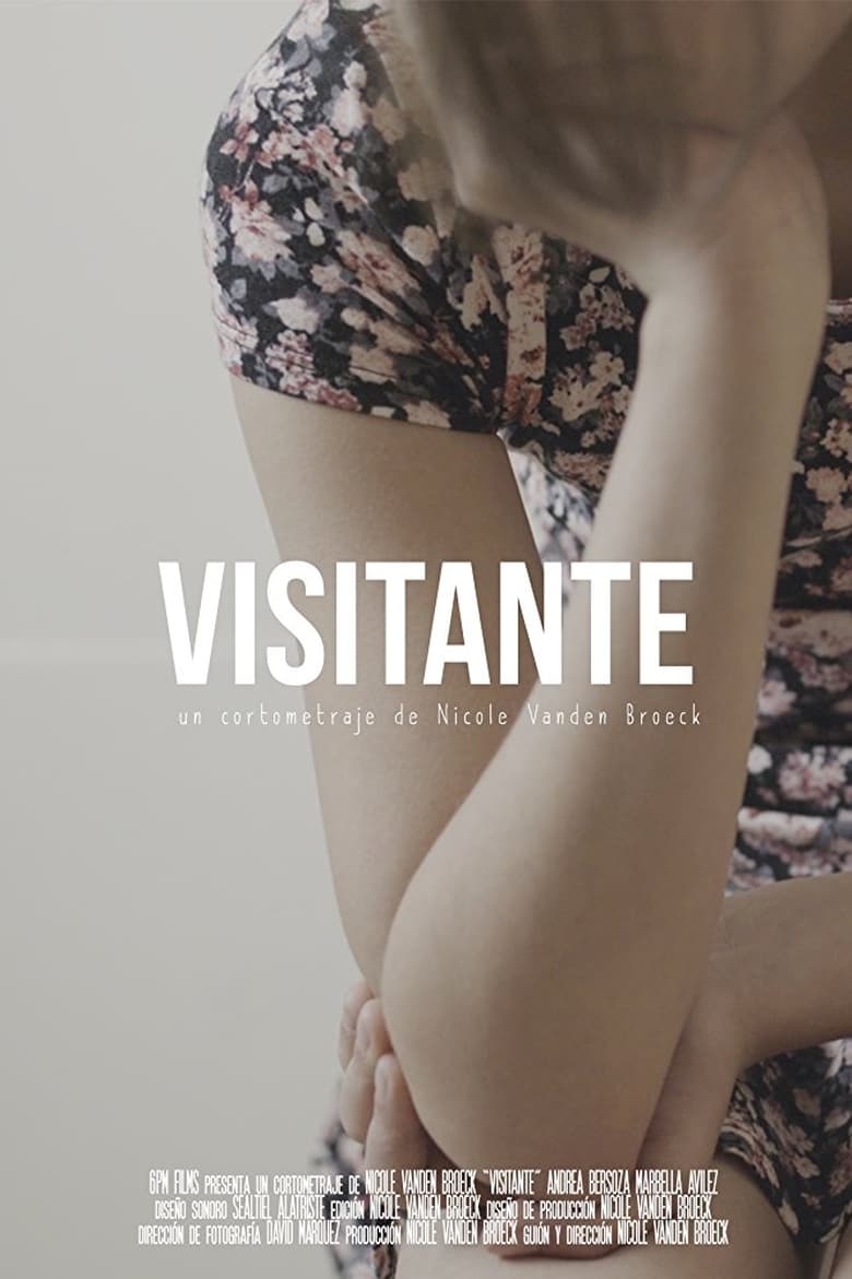 Poster of Visitante