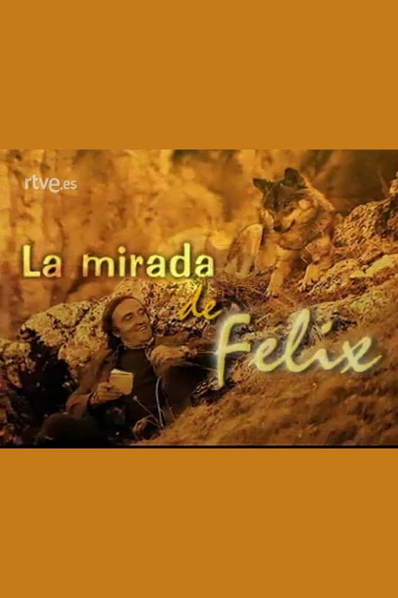 Poster of La mirada de Félix