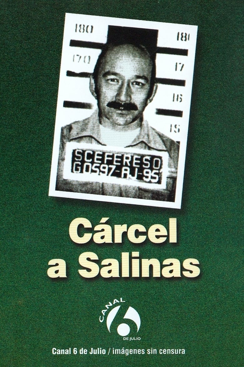 Poster of Cárcel a Salinas