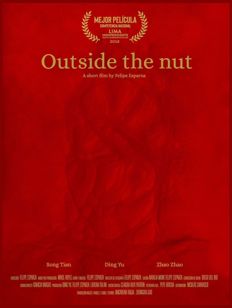 Poster of Outside the Nut