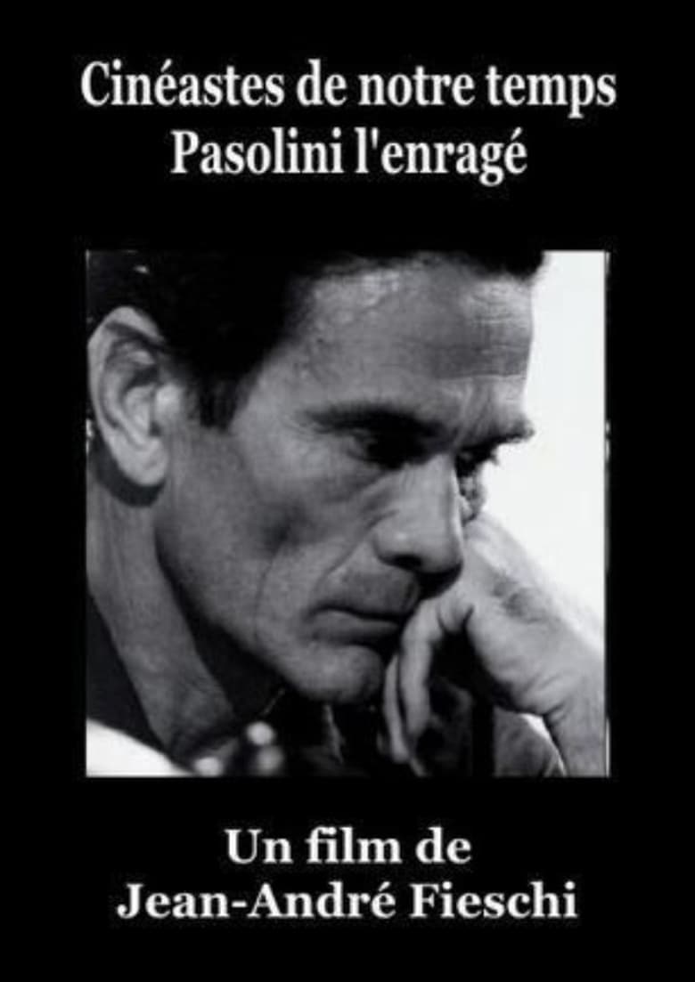 Poster of Pasolini l'Enragé