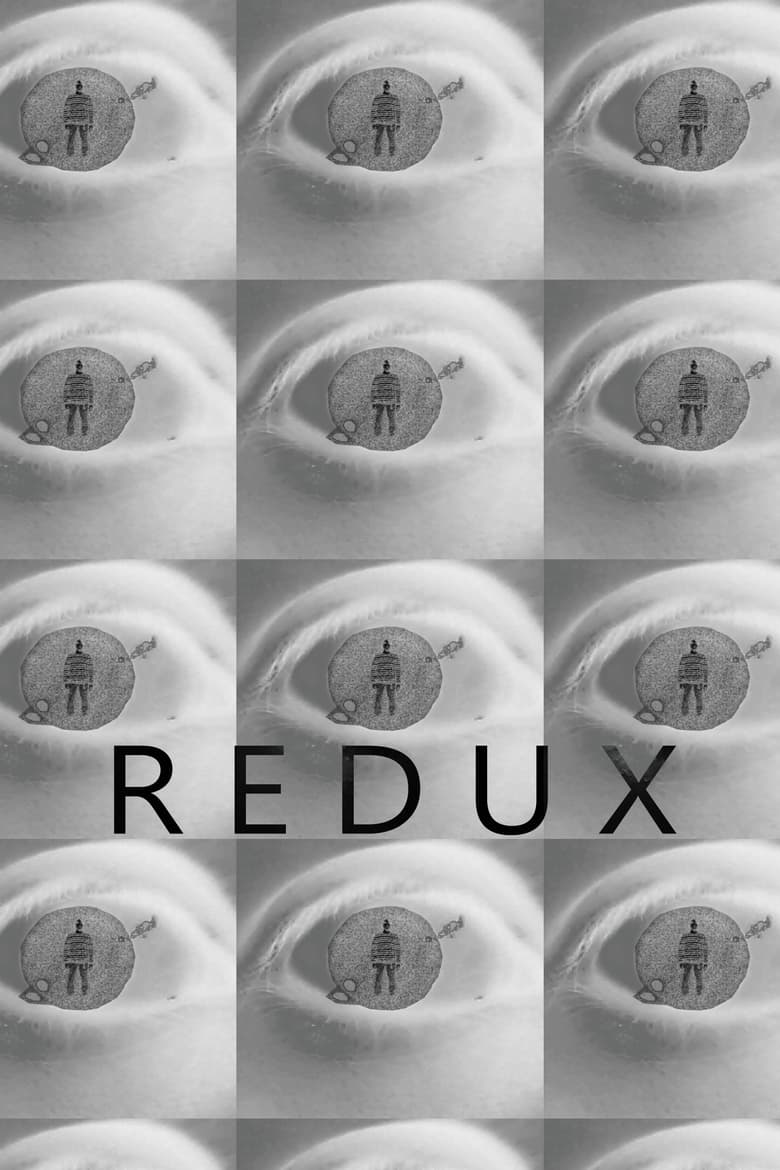 Poster of redux