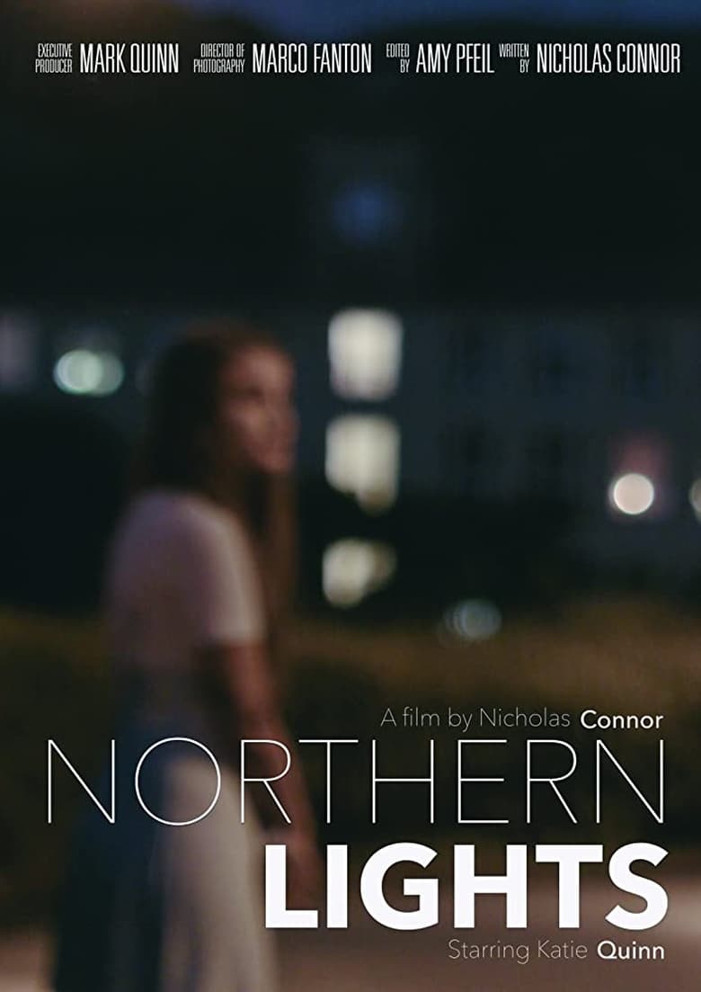 Poster of Northern Lights