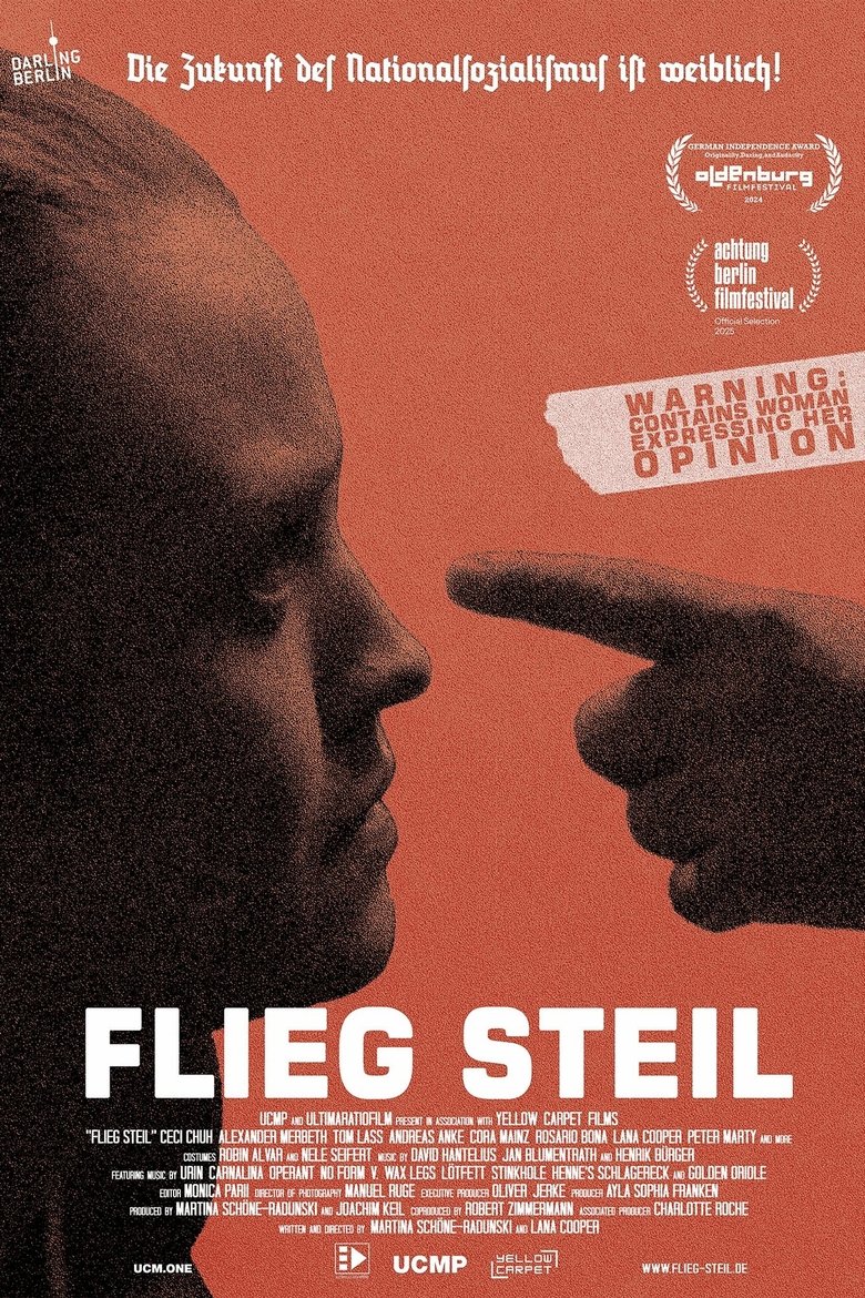 Poster of Flieg steil