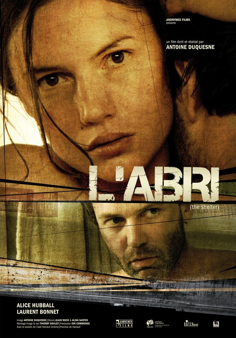 Poster of The Shelter