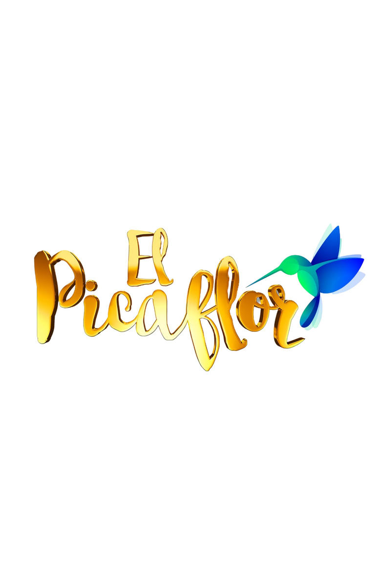 Poster of El Picaflor