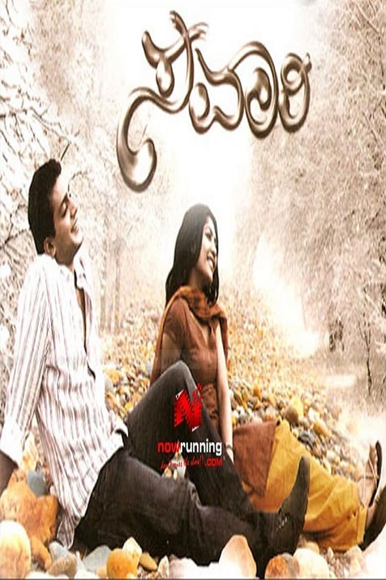 Poster of Savaari