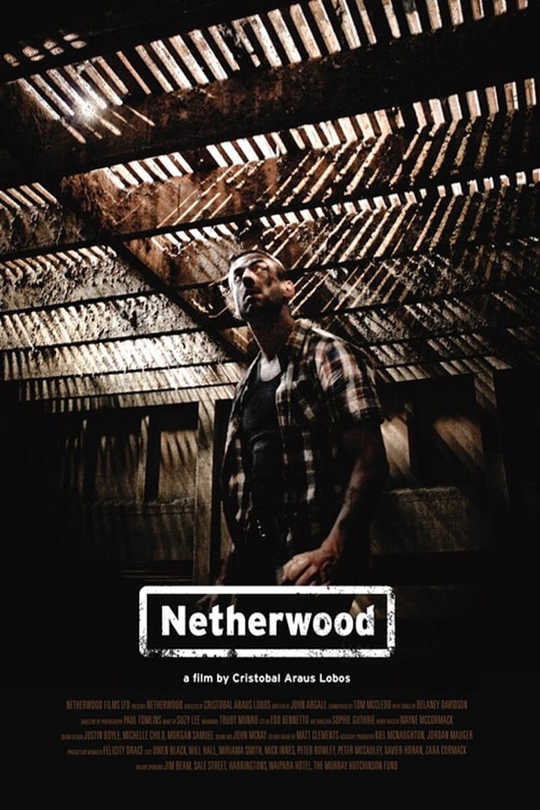 Poster of Netherwood