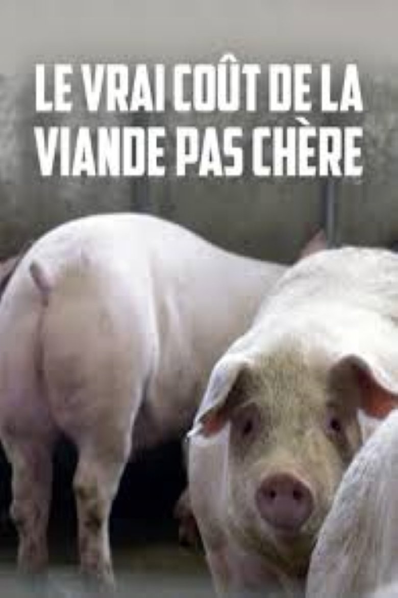 Poster of Le vrai coût de la viande pas chère