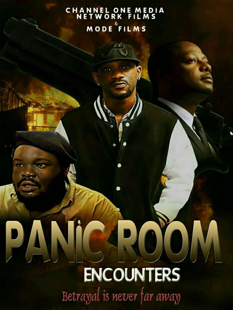 Poster of The Panic Room Encounters