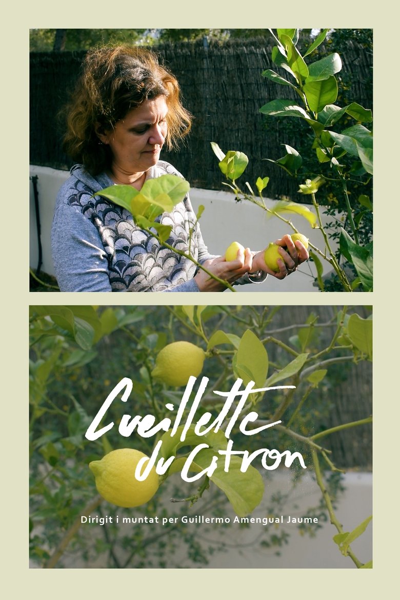 Poster of Cueillette du citron