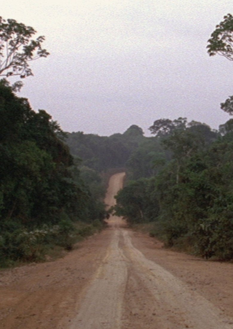 Poster of Travelling Amazonia