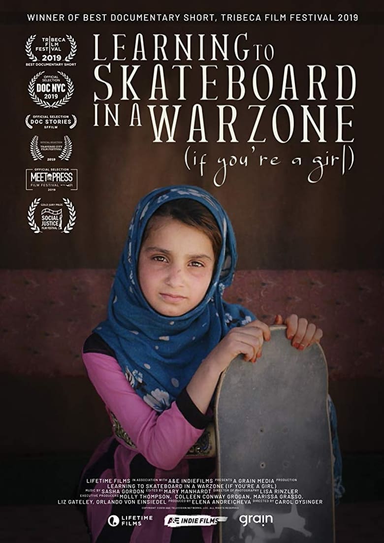 Poster of Learning to Skateboard in a Warzone (If You're a Girl)