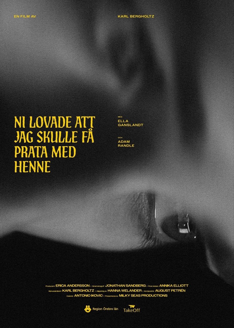 Poster of Ni lovade att jag skulle få prata med henne