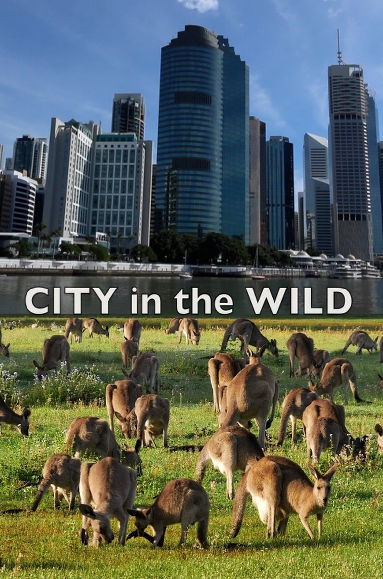 Poster of City In The Wild