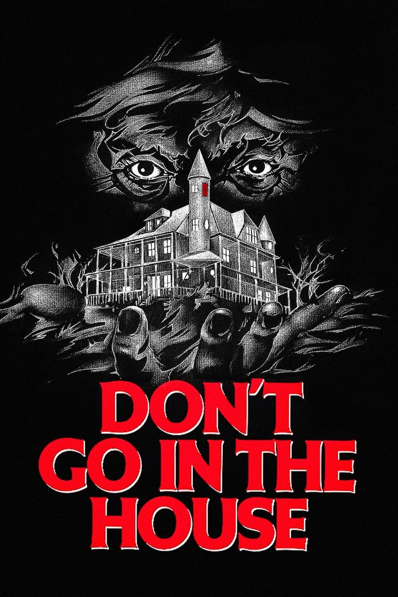 Poster of Don't Go in the House