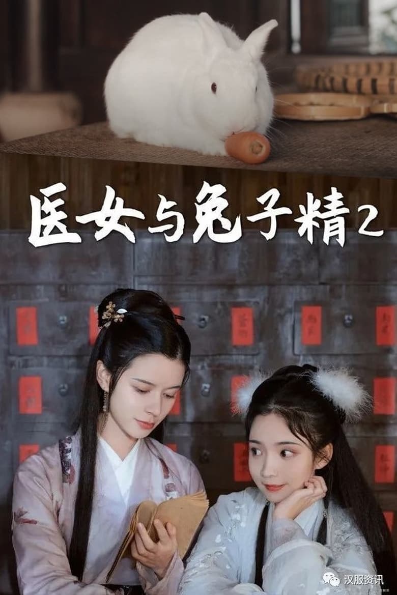 Poster of The Female Doctor and The Rabbit Spirit