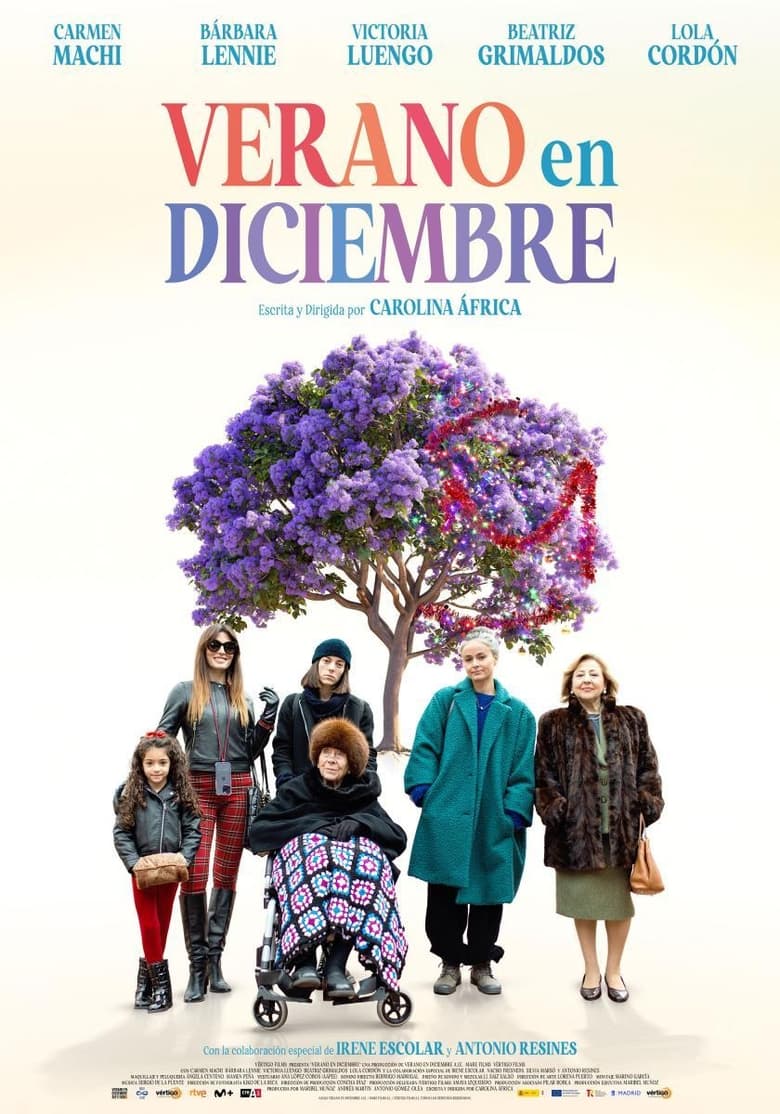 Poster of Verano en diciembre