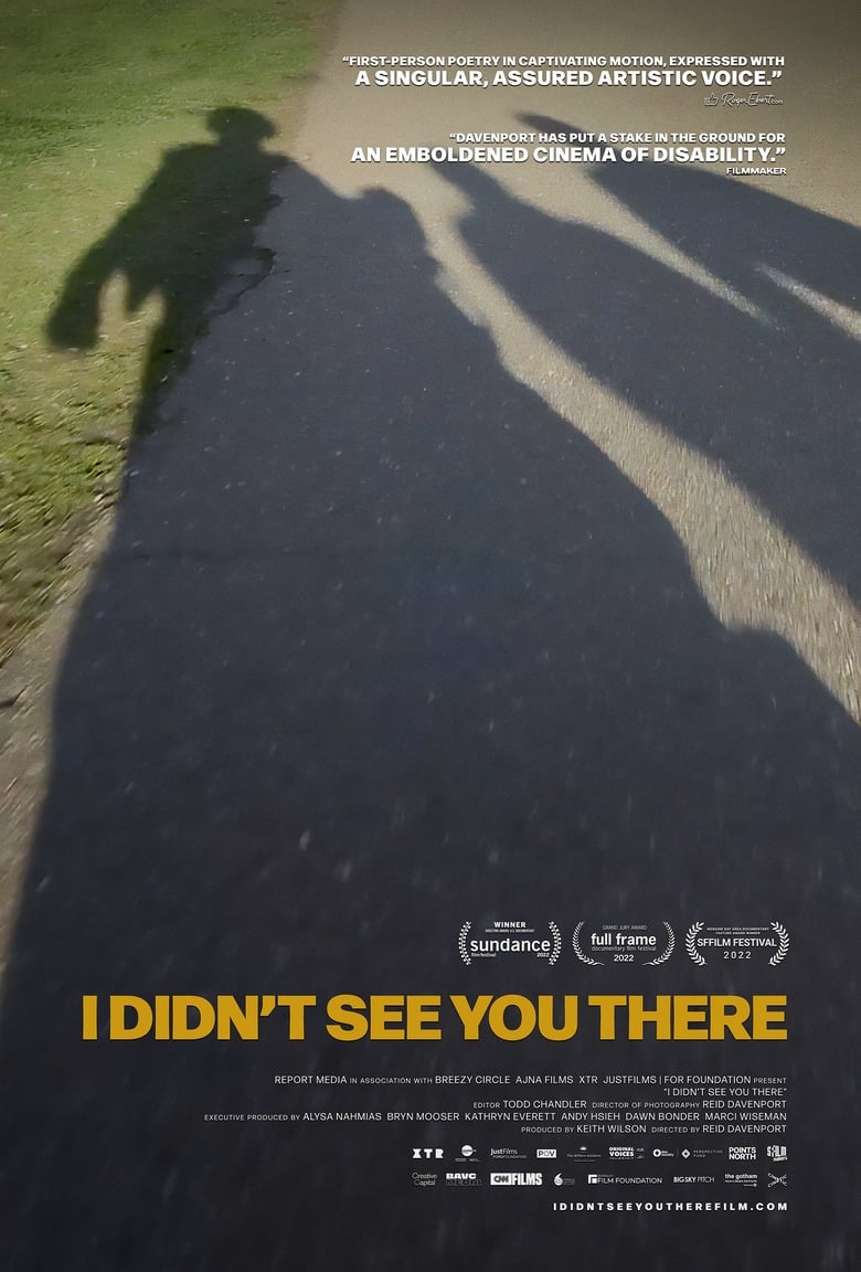 Poster of I Didn't See You There