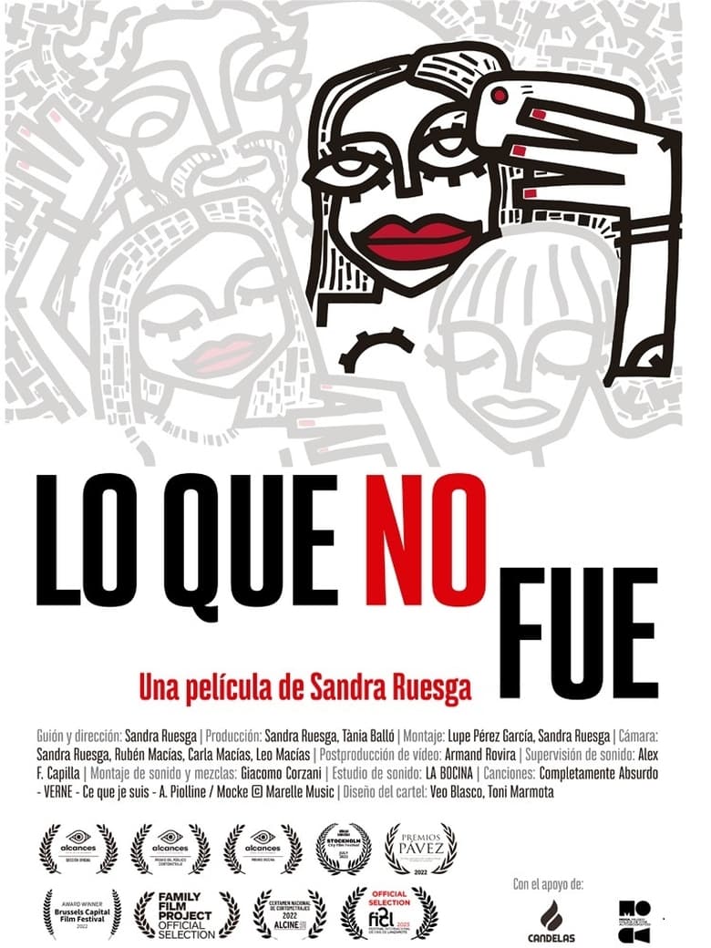 Poster of Lo que no fue