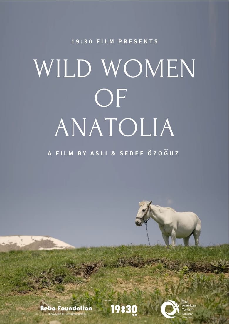 Poster of Wild Women of Anatolia