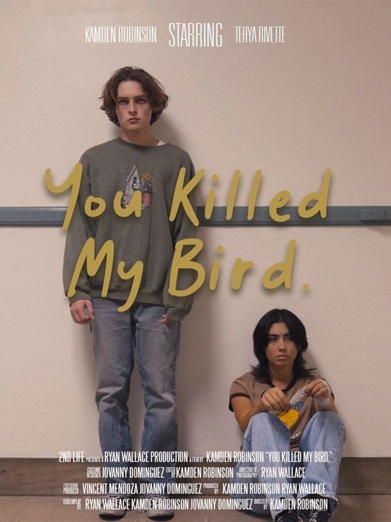 Poster of You Killed My Bird