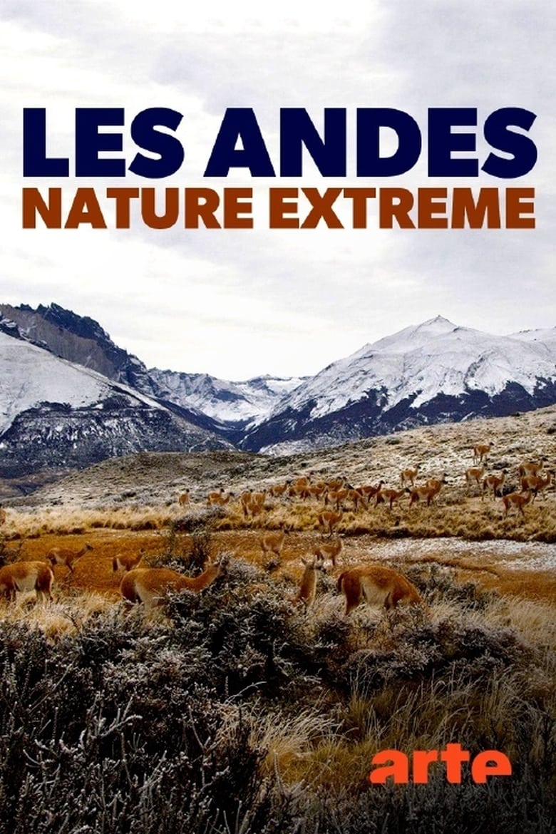 Poster of Die Anden - Natur am Limit