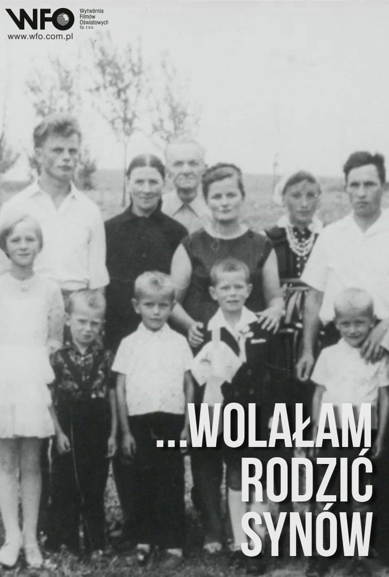 Poster of Wolałam rodzić synów