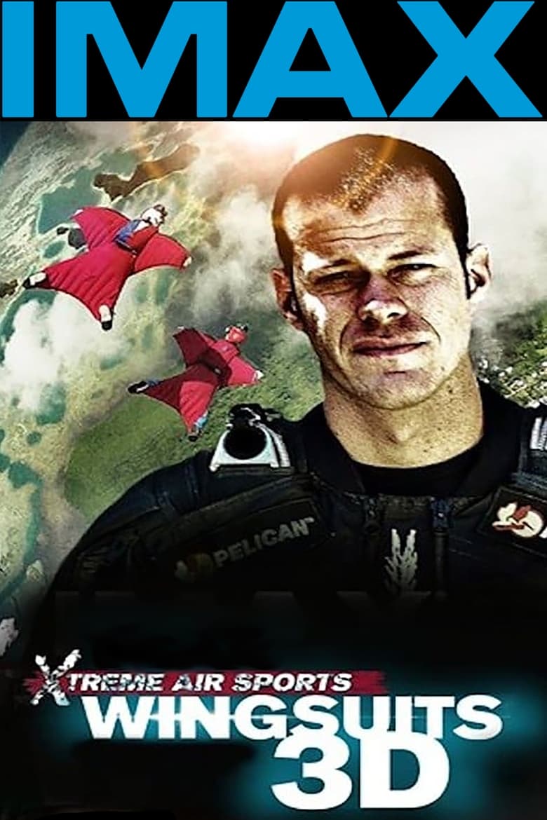 Poster of Wingsuit Warrior