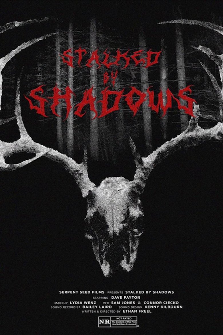 Poster of Stalked by Shadows