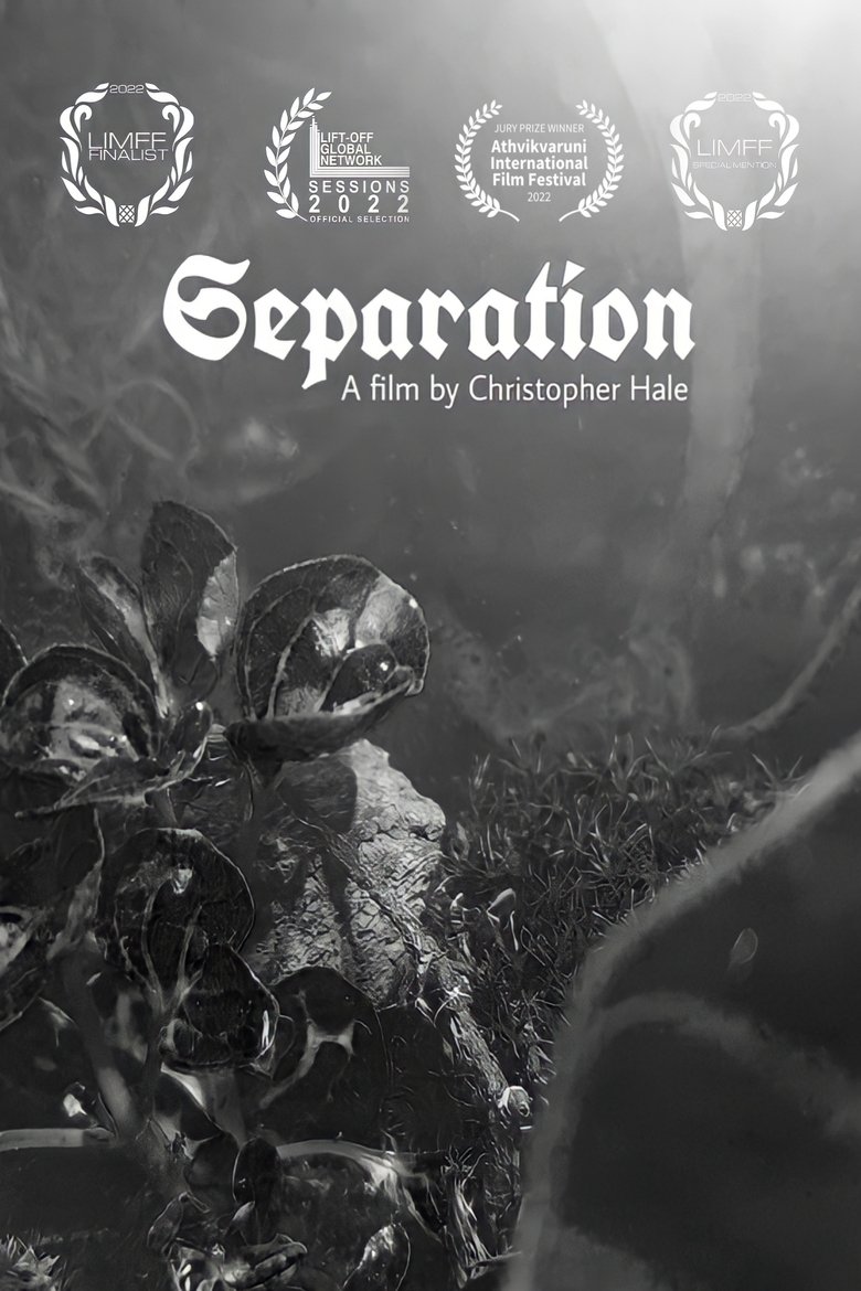 Poster of Separation