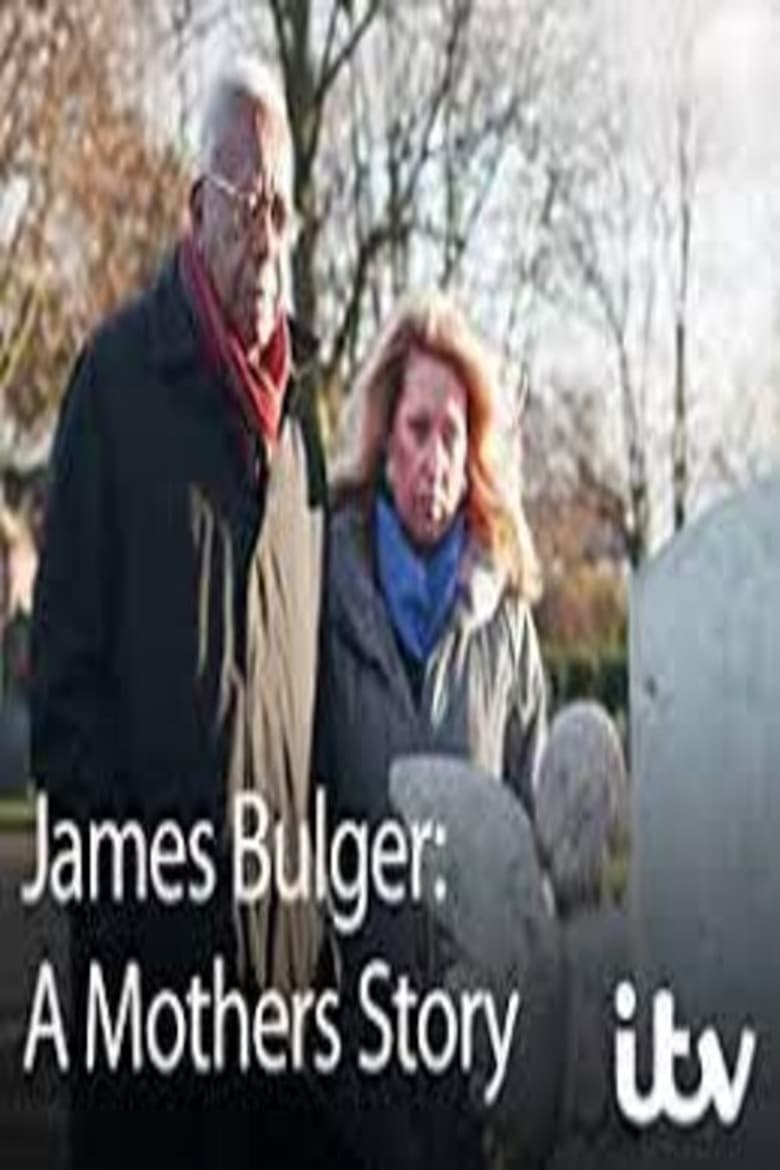 Poster of James Bulger: A Mother's Story