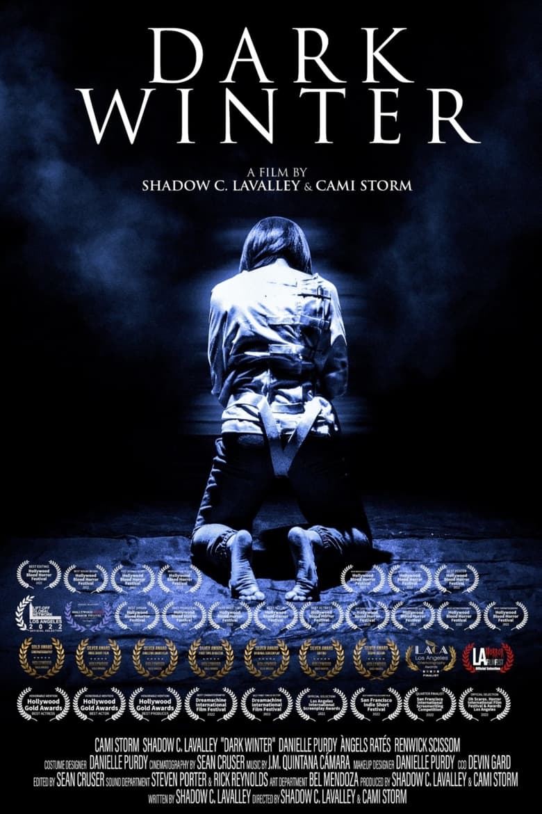 Poster of Dark Winter