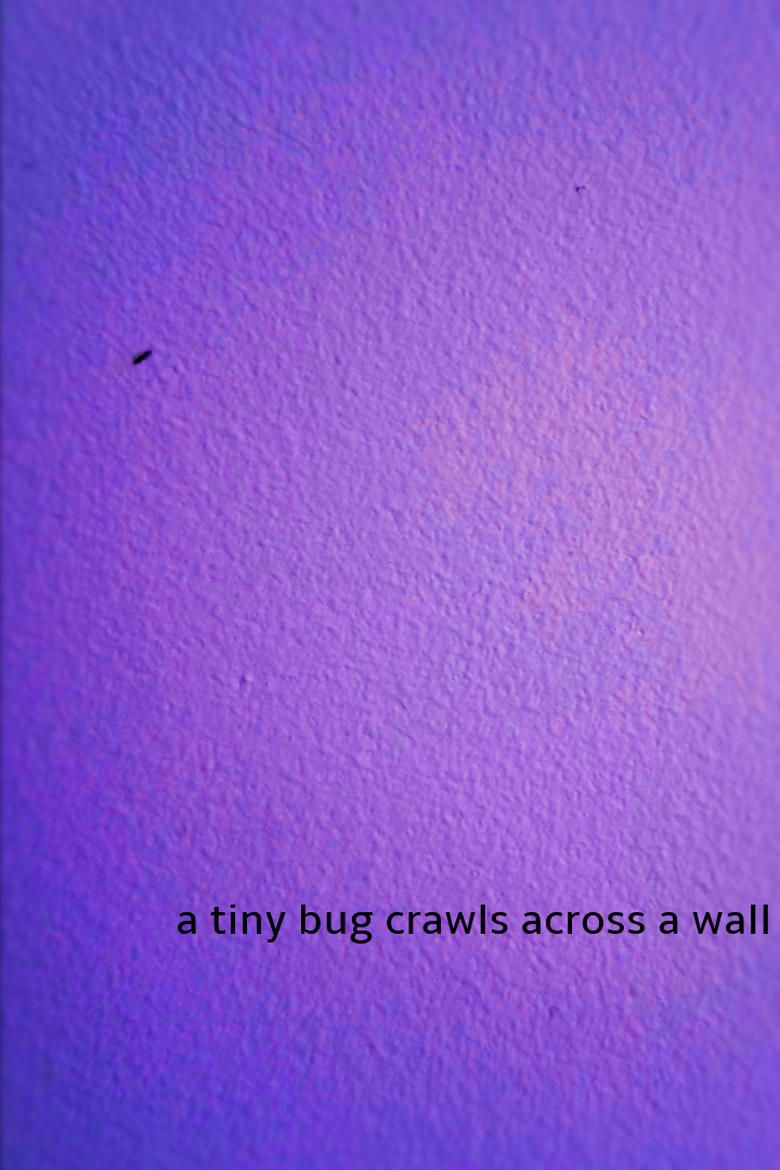 Poster of a tiny bug crawls across a wall