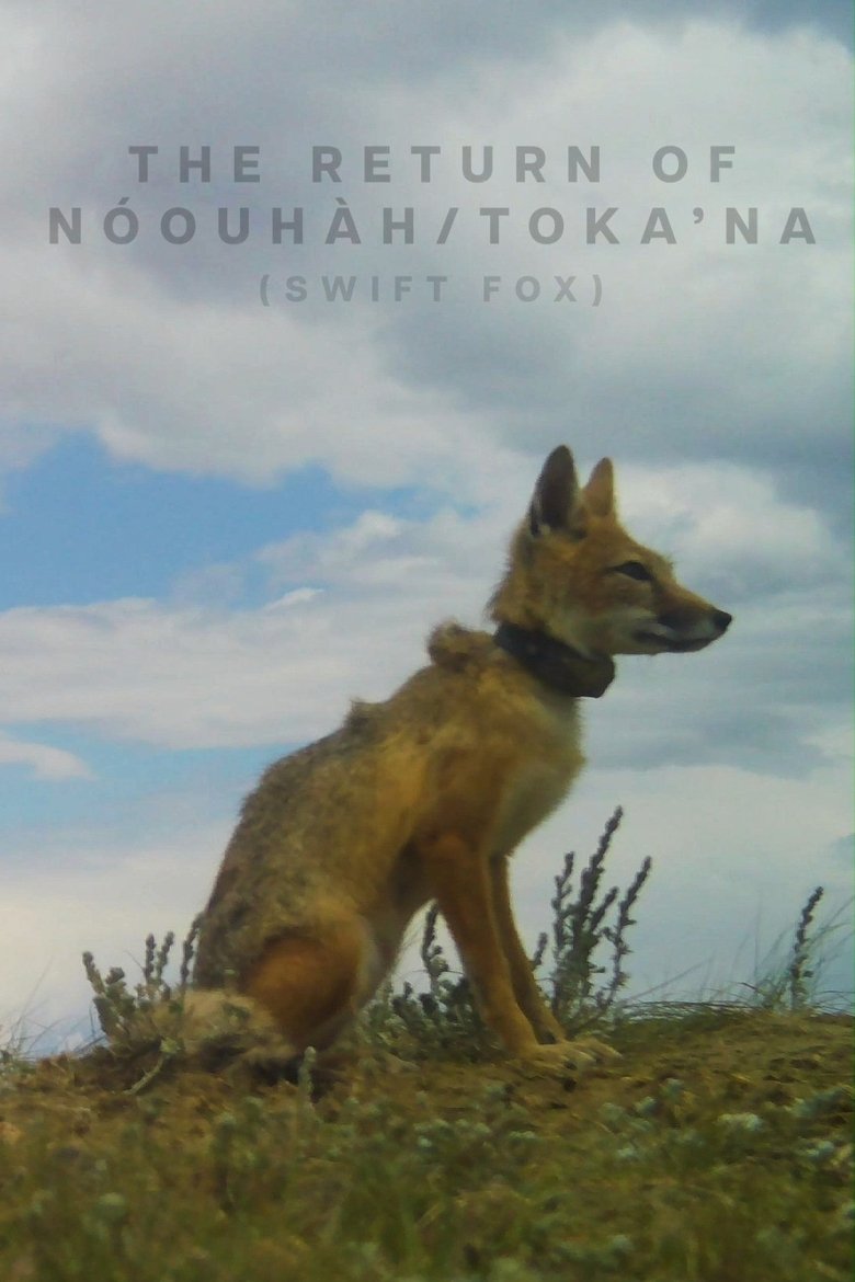 Poster of The Return of Nóouhàh-Toka’na