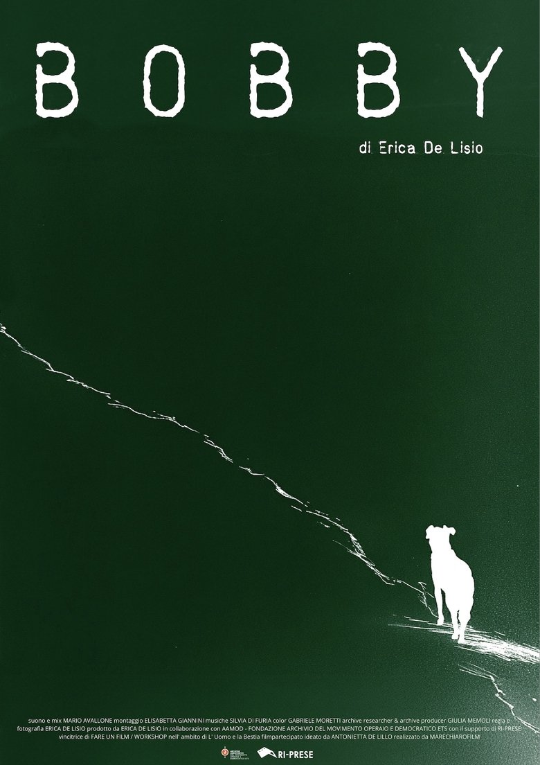 Poster of Bobby