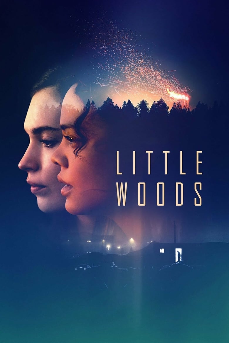 Poster of Little Woods