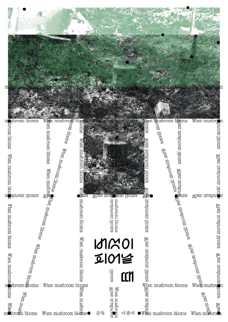 Poster of When Mushroom Blooms