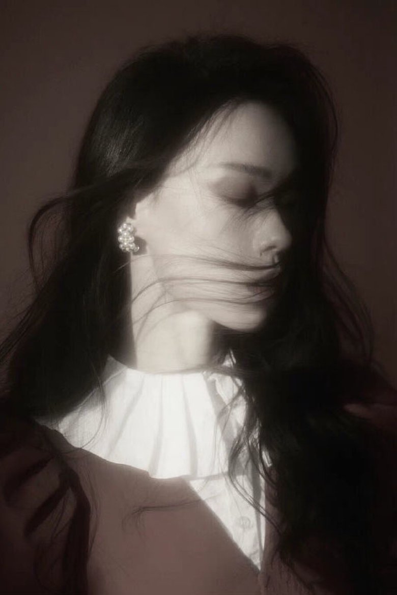Portrait of Li Shenqian