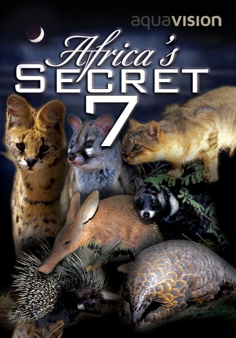 Poster of Africa's Secret Seven