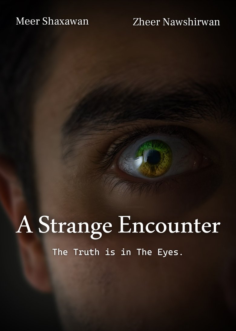 Poster of A strange encounter