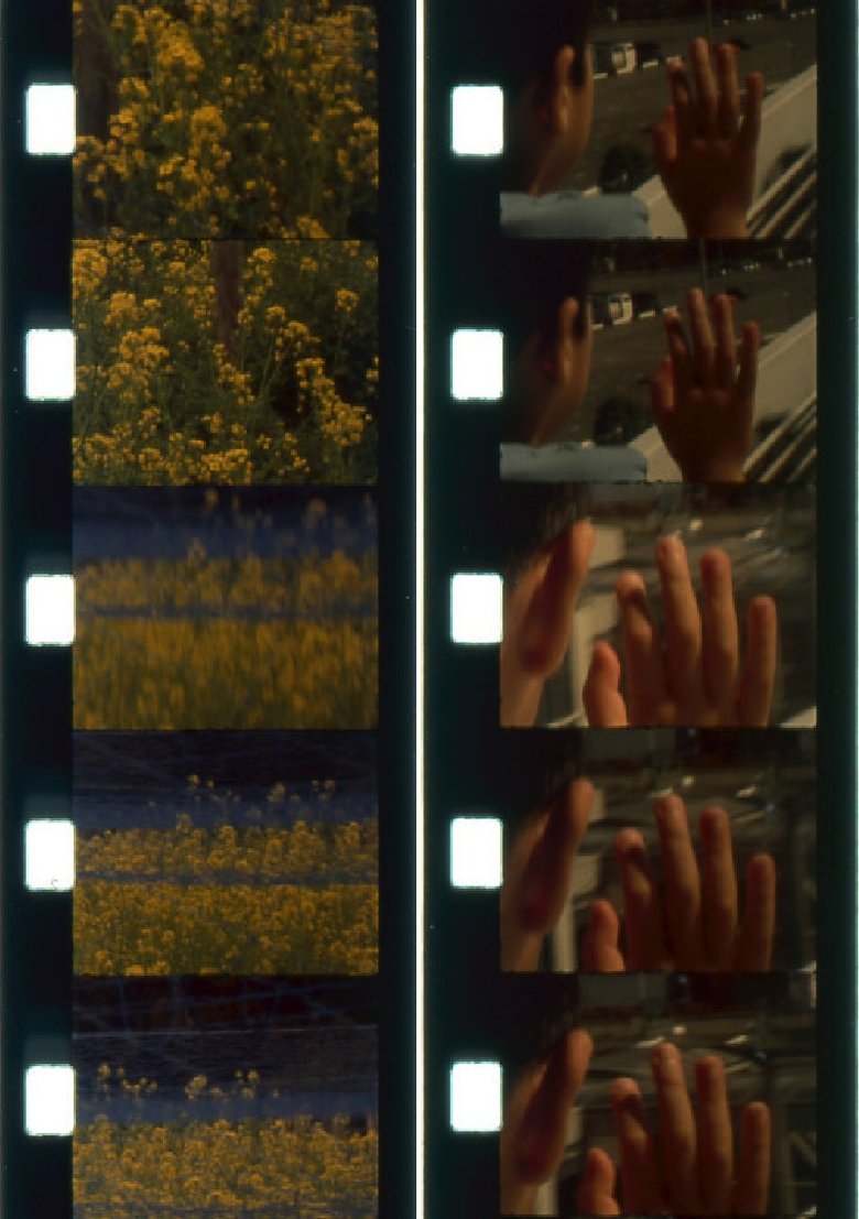 Poster of In Between Solstices (II/II)