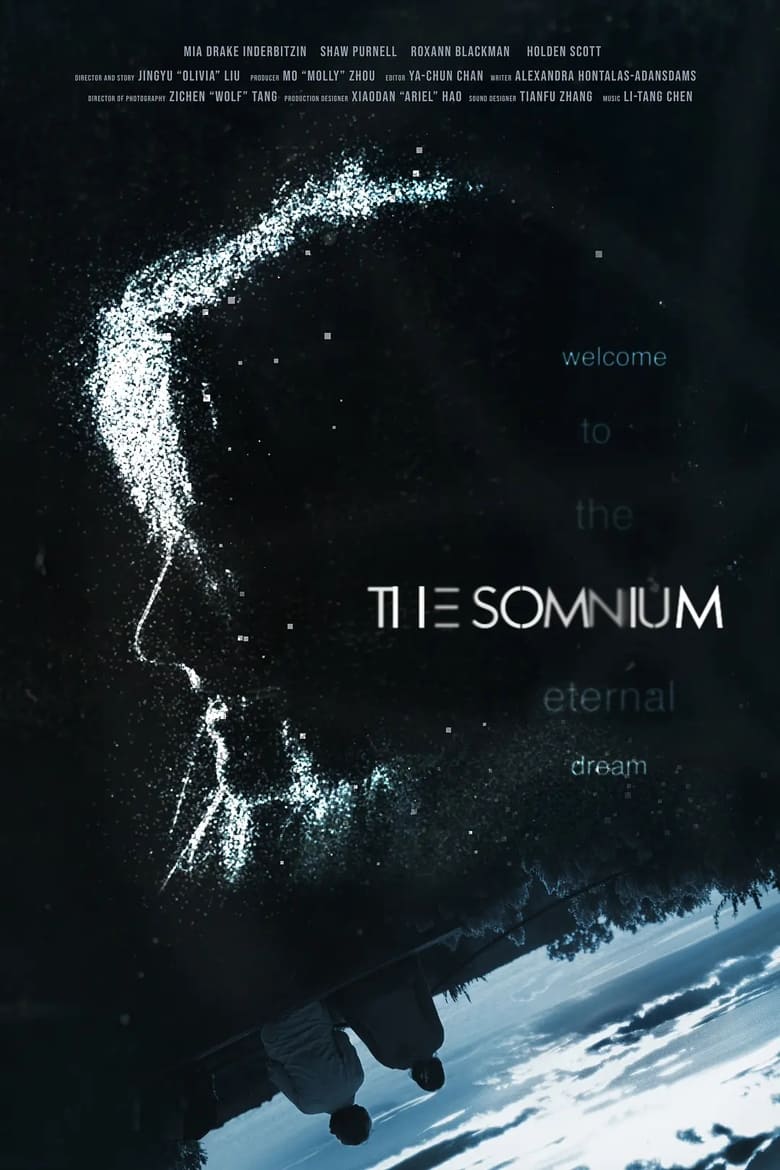 Poster of The Somnium