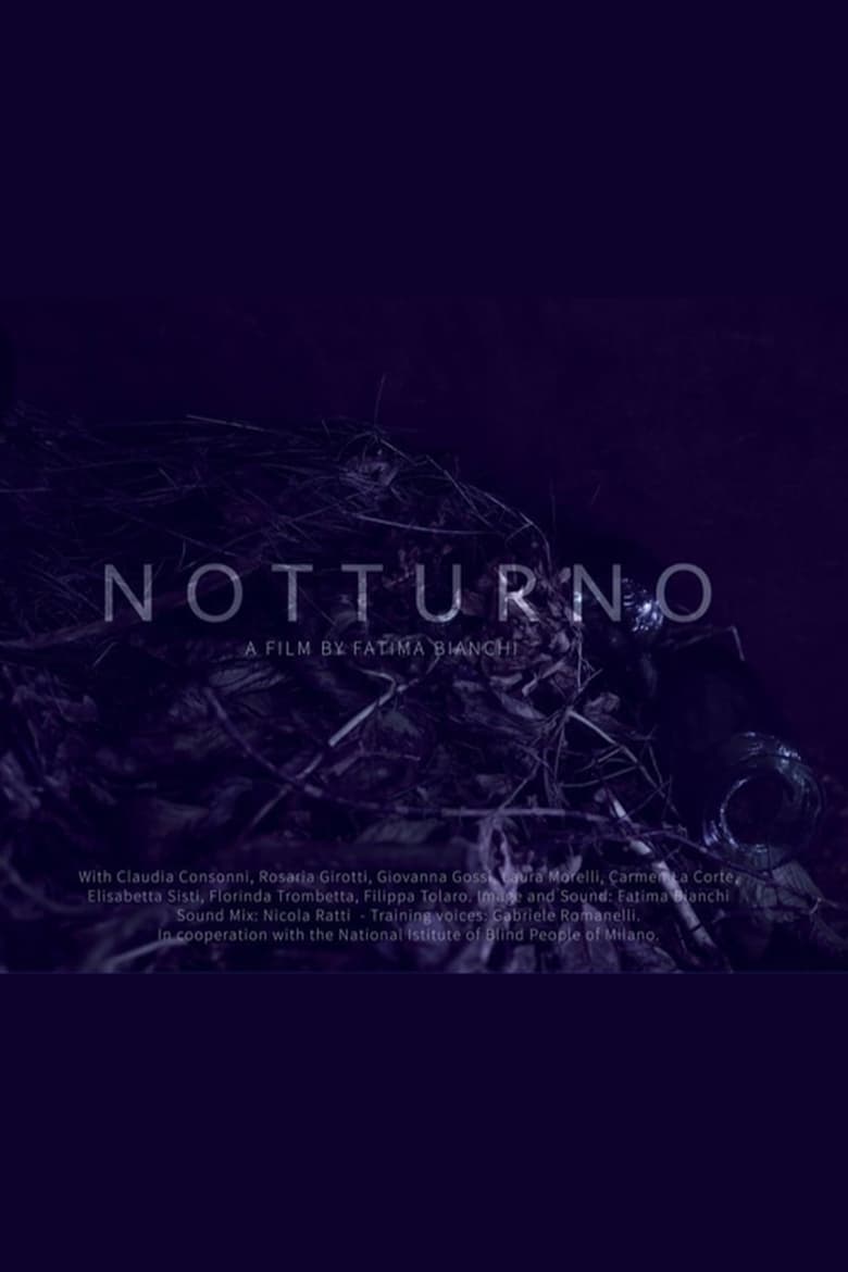 Poster of Notturno