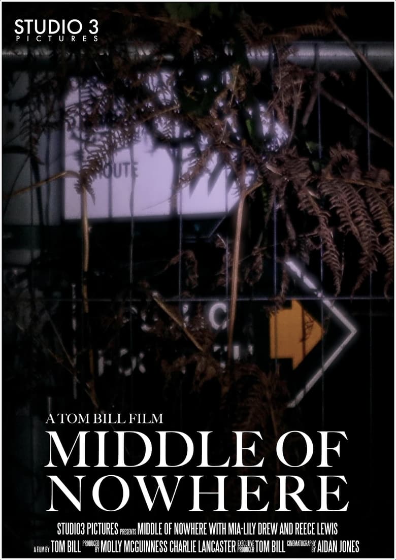 Poster of Middle of Nowhere