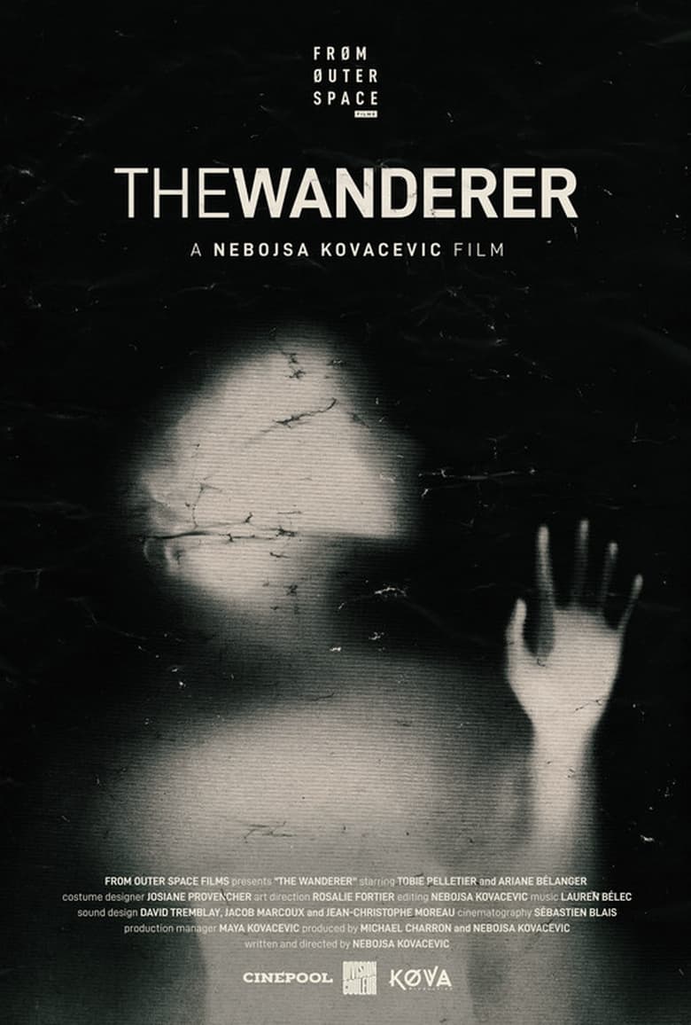 Poster of The Wanderer