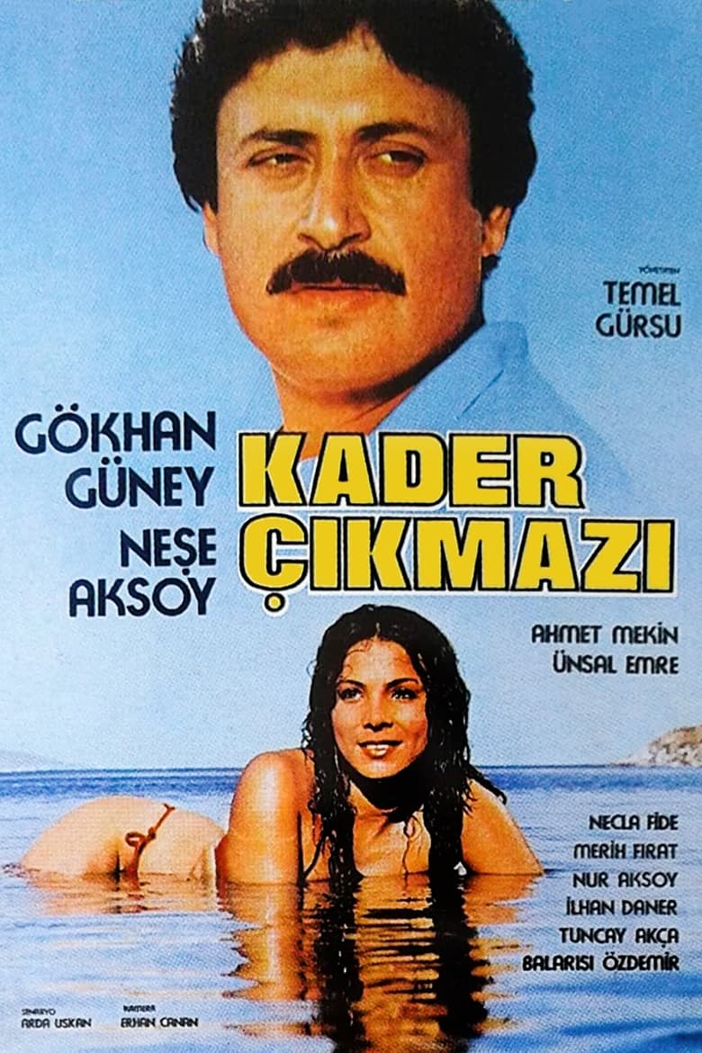 Poster of Kader Çıkmazı