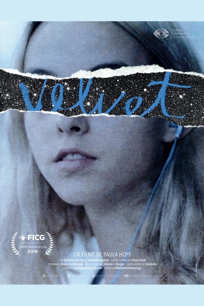 Poster of Velvet