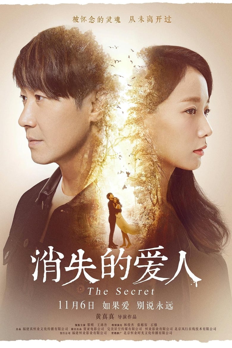 Poster of The Secret